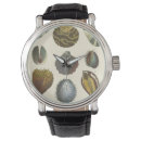 Search for collection watches Shell