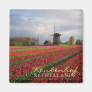 Search for spring bulbs magnets Flowers