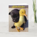 Search for great grandchild cards Grandson