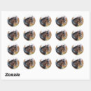 Search for drafting stickers Horse