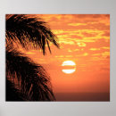 Search for hawaiian sunset posters Palms