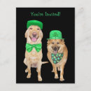Search for irish humour invitations Funny