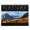 Search for david photography Nature