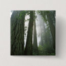 Search for redwoods badges Landscape