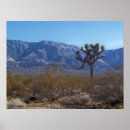 Search for contrasting posters Photography