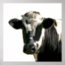 Search for farm posters Cow