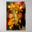 Search for up and fish posters Sealife