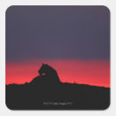 Search for kenya lion stickers Sitting
