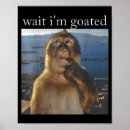 Search for funny monkey memes posters Retro