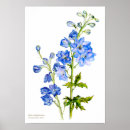 Search for delphinium art Botanical
