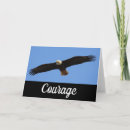 Search for flying eagle cards Bird