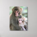 Search for primate art Japanese monkey
