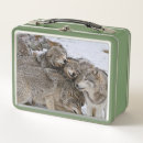 Search for wolf lunch boxes Winter