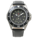 Search for fighter pilot watches Aircraft
