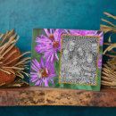 Search for honey bee plaques Nature