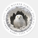 Search for snowy owl stickers White