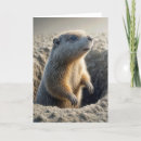 Search for groundhog day birthday cards Wildlife