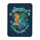Search for witchcraft magnets Wizard