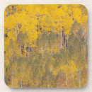 Search for aspen coasters Autumn