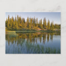 Search for northwest territory postcards Janis miglavs