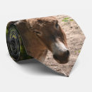 Search for donkey ties Parties