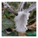 Search for ice crystal art White