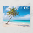 Search for palm beach postcards Island