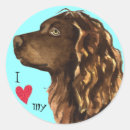 Search for spaniel stickers Boykin