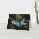 Search for morpho cards Insect