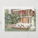 Search for woodpecker christmas cards Nature