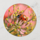 Search for polka dot ladybug invitations Flower