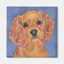 Search for face cocker spaniel magnets Dog