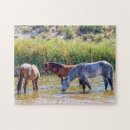 Search for mustang puzzles Nature