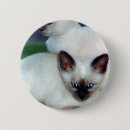 Search for little kitty badges Feline