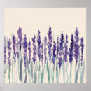 Search for lavander posters Watercolor