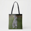 Search for dwarf bags Pets