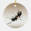 Search for ant christmas tree decorations Bugs