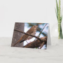 Search for thrush Wood thrush