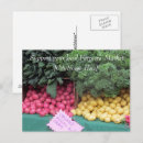 Search for potato postcards Green
