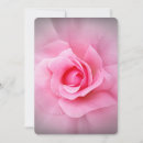 Search for rose petals invitations Pink