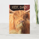 Search for highland cattle cards Cow
