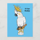 Search for crest postcards Cockatoo