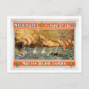 Search for spectacle postcards Vintage