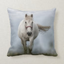 Search for galloping mare Animal