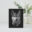 Search for husky dogs postcards Huskies