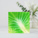 Search for cabbage cards Green