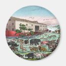 Search for noah magnets Noah's ark
