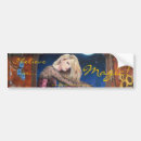 Search for i believe bumper stickers Unicorn