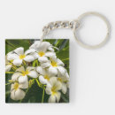 Search for ley key rings Tropical
