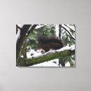 Search for squirrel picture art Cute